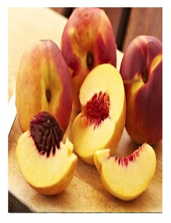 Bursa Yarma Şeftali (2-3 yaş )